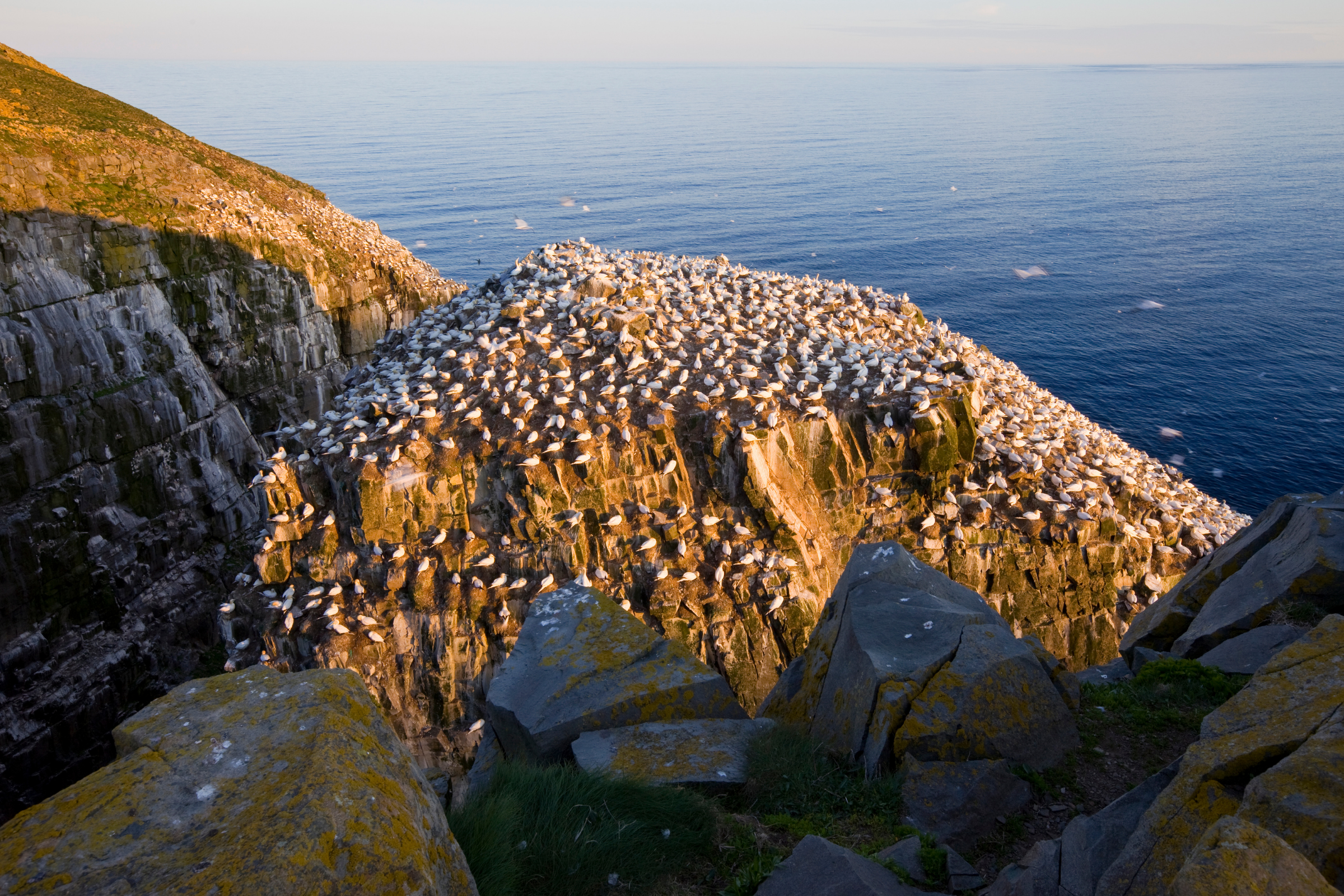 325 saglek fjord, newfoundland and labrador.webp